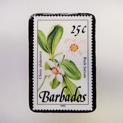 巴巴多斯花郵票胸針3312 第1張的照片