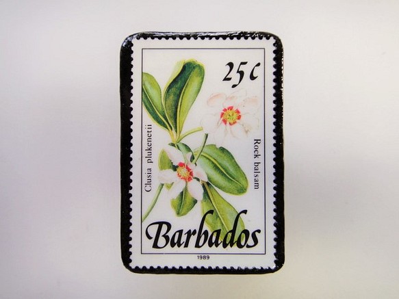 巴巴多斯花郵票胸針3312 第1張的照片