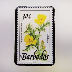 巴巴多斯花郵票胸針3314 第1張的照片