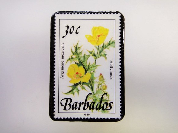 巴巴多斯花郵票胸針3314 第1張的照片