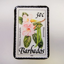 巴巴多斯花郵票胸針3316 第1張的照片