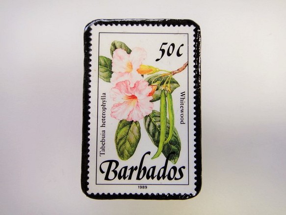 巴巴多斯花郵票胸針3316 第1張的照片