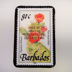 巴巴多斯花郵票胸針3320 第1張的照片