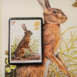 英國野生動物郵票胸針（帶明信片）3402 第1張的照片