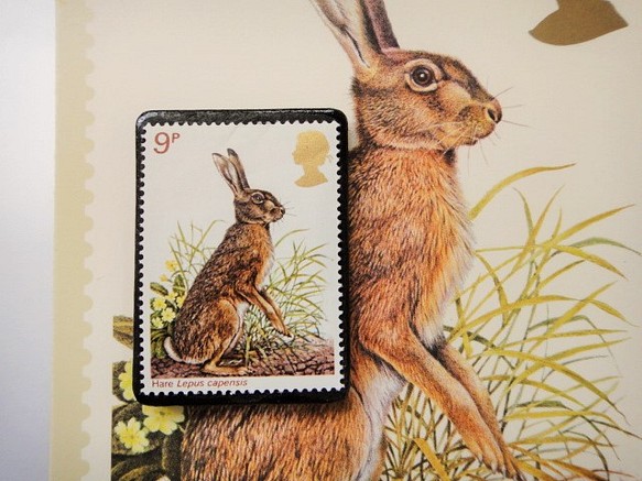 英國野生動物郵票胸針（帶明信片）3402 第1張的照片