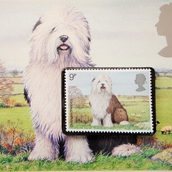 イギリス　犬　切手ブローチ(ポストカード付）3414 1枚目の画像