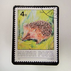 匈牙利郵票胸針3902 第1張的照片