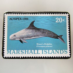 マーシャル諸島　イルカ切手ブローチ 5332 1枚目の画像