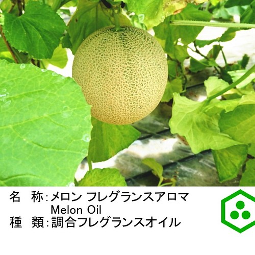 Noto メロンアロマオイル１０ml Melon メロンの甘く芳醇な香りを再現フレグランスオイル その他インテリア雑貨 Aroma Gift 通販 Creema クリーマ ハンドメイド 手作り クラフト作品の販売サイト