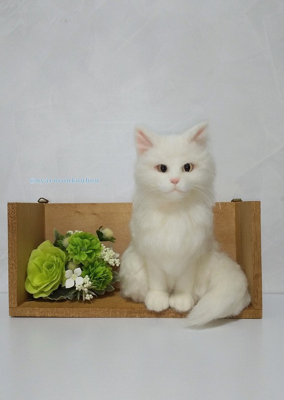 白猫ちゃん