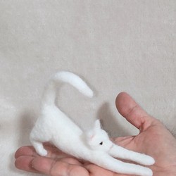 【羊毛フェルト】ミニミニ白猫～のびのび～ 1枚目の画像