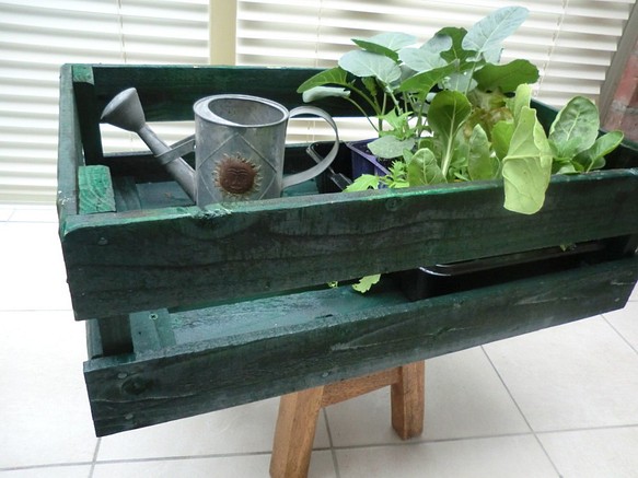 木箱 トロ箱　ウッドプランター　ガーデンニングボックス　緑　グリーン 1枚目の画像