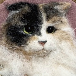 【リアル猫ちゃん オーダーメイド例】羊毛フェルトの半立体 額絵* 1枚目の画像