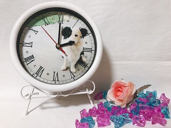 ペットの写真でオーダーメイド時計【誕生日プレゼント・サプライズ・愛犬・愛猫・壁掛け時計】 1枚目の画像