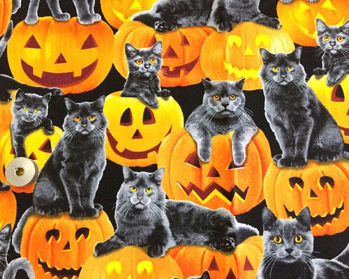 1854] 猫 ハロウィン プレート ハンドメイド-