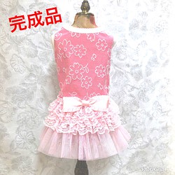 完成品☆春ワンピース 桜柄 ペット服・アクセサリー ハンドメイド犬服♡パルティール 通販｜Creema(クリーマ)