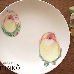 インコ　お皿　小桜インコ　イエロー　Φ21ｃｍ　 1枚目の画像
