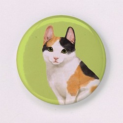 │友善貓咪寵物系列│- 徽章 第1張的照片