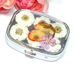 草莓和Ezo Nokogirisou（小袋）的藥盒*使用壓花* 第1張的照片