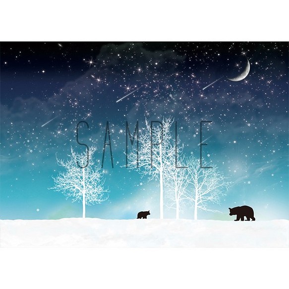 冬の星空シロクマ A4ポスター / 月 雪 星 インテリア 1枚目の画像