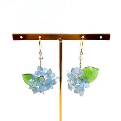 【微縮花房】《紫陽花。Hydrangea》。繡球花耳環。手造日本樹脂花飾。可改耳夾。 第1張的照片