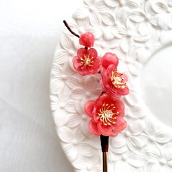 【若桑】紅梅。梅花花髮簪。手造日本樹脂花飾。十二花季。一月梅花。 第1張的照片