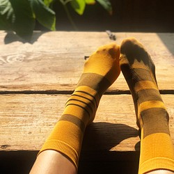 <honey_bee> クルーソックス、靴下 1枚目の画像
