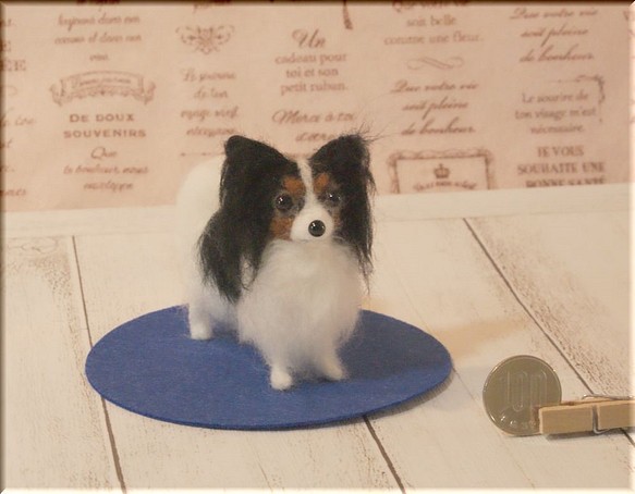 羊毛フェルト　犬　パピヨン　手のひらサイズ 1枚目の画像