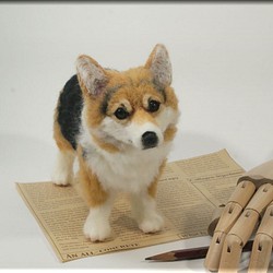 羊毛フェルト　犬　コーギーさん　ウェルシュ・コーギー　犬フィギュア 1枚目の画像