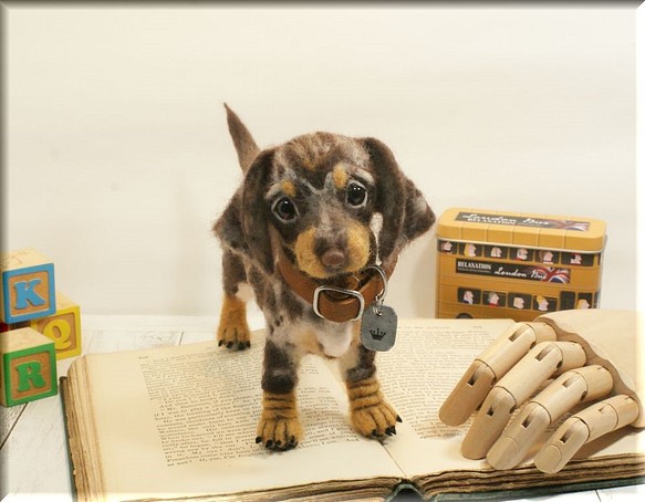 羊毛フェルト　犬　ダックスさん　ダップル　ダックスフント　ダックスフンド　犬フィギュア 1枚目の画像