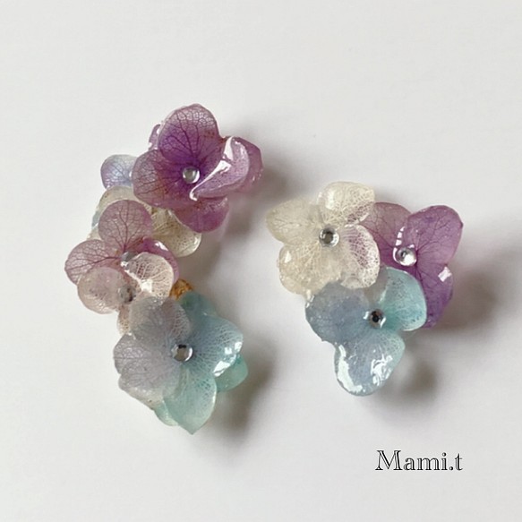 《Mami.t》  本物の紫陽花イヤーカフ 1枚目の画像