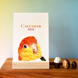 2021年粉彩風彩色小鸚鵡桌曆 // 明信片尺寸 第1張的照片