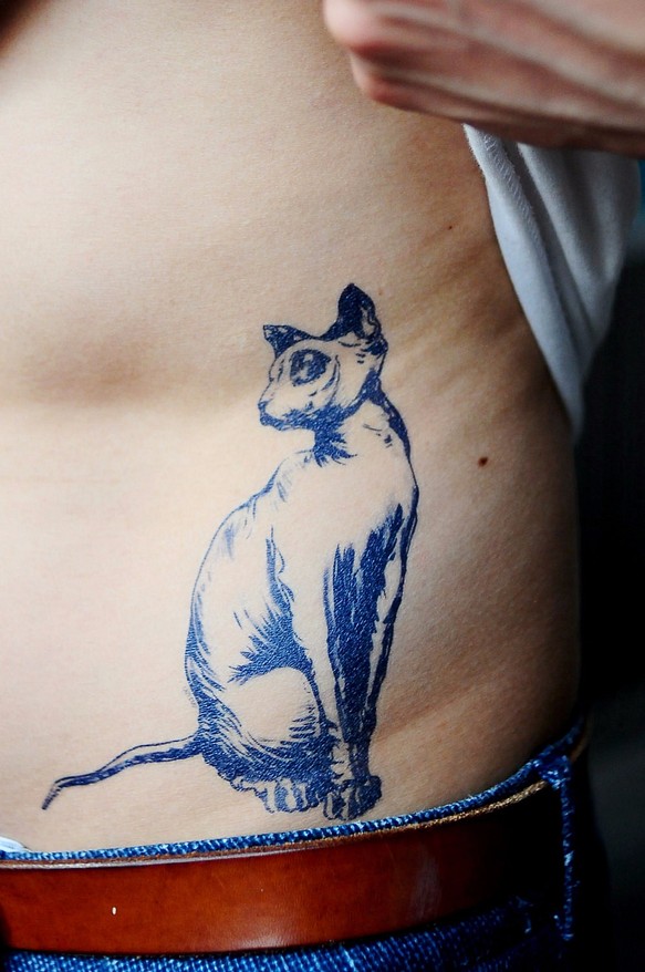LAZY DUO 貓 猫 畫 手繪 剌青 紋身貼紙 三角 塔羅 型格 清新 台灣製 防水 防汗 藍 Sphynx 無毛貓 第1張的照片