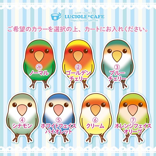 耐水 コザクラインコ ダイカット ステッカー シール ステッカー Luciole Cafe ほたる 通販 Creema クリーマ ハンドメイド 手作り クラフト作品の販売サイト