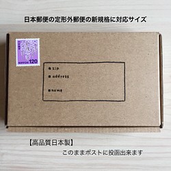 new【高品質日本製】日本郵便の定形外郵便の新規格対応サイズ（ポスト投函OK）10枚 内側ホワイト色使用タイプ 1枚目の画像