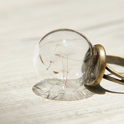 ガラスリングバレンタインデーの贈り物/森ガール/英語乾燥花透明なガラス玉のリング - 森タンポポの花のリング 1枚目の画像