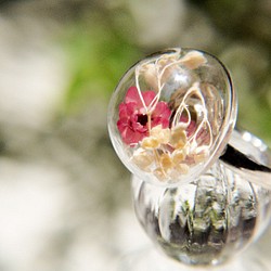 /森ガール/英語乾燥花透明なガラス玉のリング - カラフルな赤いドライフラワーのフラワーリング 1枚目の画像