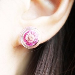 ＊Rosy Garden＊桃粉紅色小香青乾燥花圓形玻璃耳環 第1張的照片
