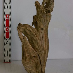 流木　（中型　R050) 1枚目の画像