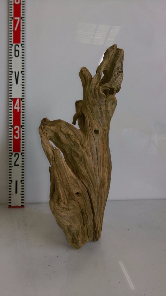流木　（中型　R050) 1枚目の画像