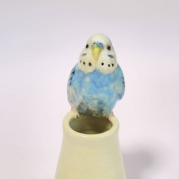 【供D訂購】藍色鸚鵡單輪刺（陶鳥物） 第1張的照片