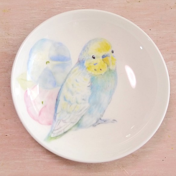 「朝顔と水色のセキセイインコ」手書きの小鳥のお皿　 1枚目の画像