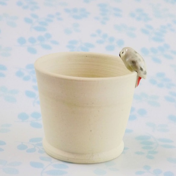 小鳥つきフリーカップ「ヨウム」 1枚目の画像
