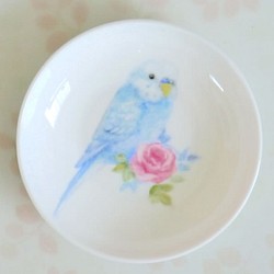 “虎皮鸚鵡和粉紅色迷你玫瑰”手繪鳥板 第1張的照片