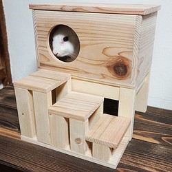 子ウサギさんのおうち♪木製ハウス（杉無垢材）/階段付き[小ウサギ・テグー・リス] 1枚目の画像