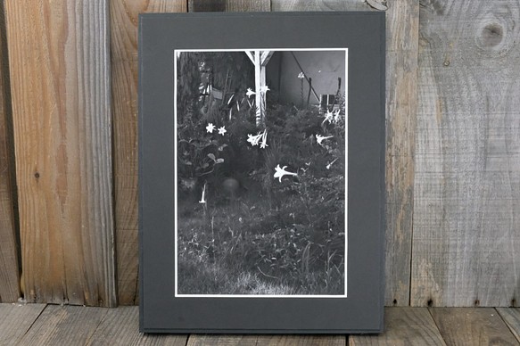A4 美術照片 014 Yamayuri 花卉啞光面板飾面單色黑白照片室內照片銷售郵購 第1張的照片