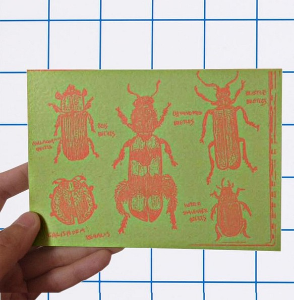 ericocoエリココ 五種昆蟲的圖鑑雙面插畫明信片 第1張的照片