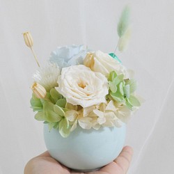 Kinki情人不凋盆花 Tiffany 5號 交換禮物 乾燥花 婚禮小物 藍綠 情人節 乾燥花 永生花 第1張的照片