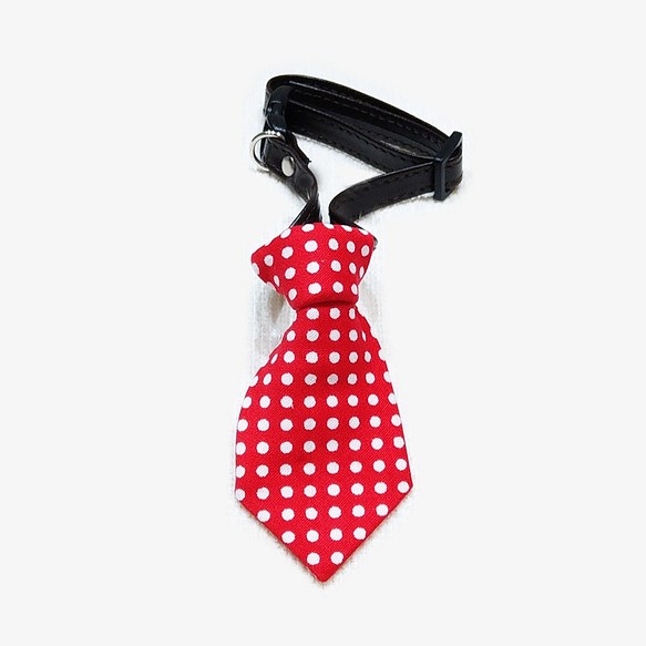 Ella Wang Design Tie 寵物 領結 領帶 貓 狗 紅色 水玉點 第1張的照片