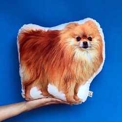 FunPrint [客製] 狗狗抱枕30cm     生日禮物/寵物抱枕/毛小孩 第1張的照片